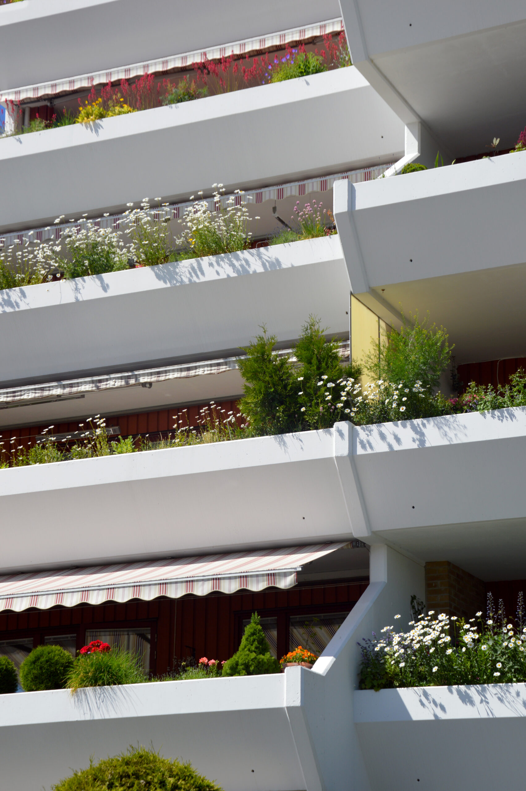 Balcons d’immeuble avec jardinières à entretenir sans gêner les voisins