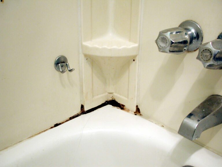 Joint de douche noirci à surveiller dans une salle de bain