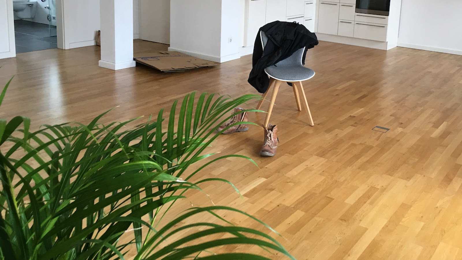 Plantes d’intérieur près d’un parquet à protéger de l’humidité